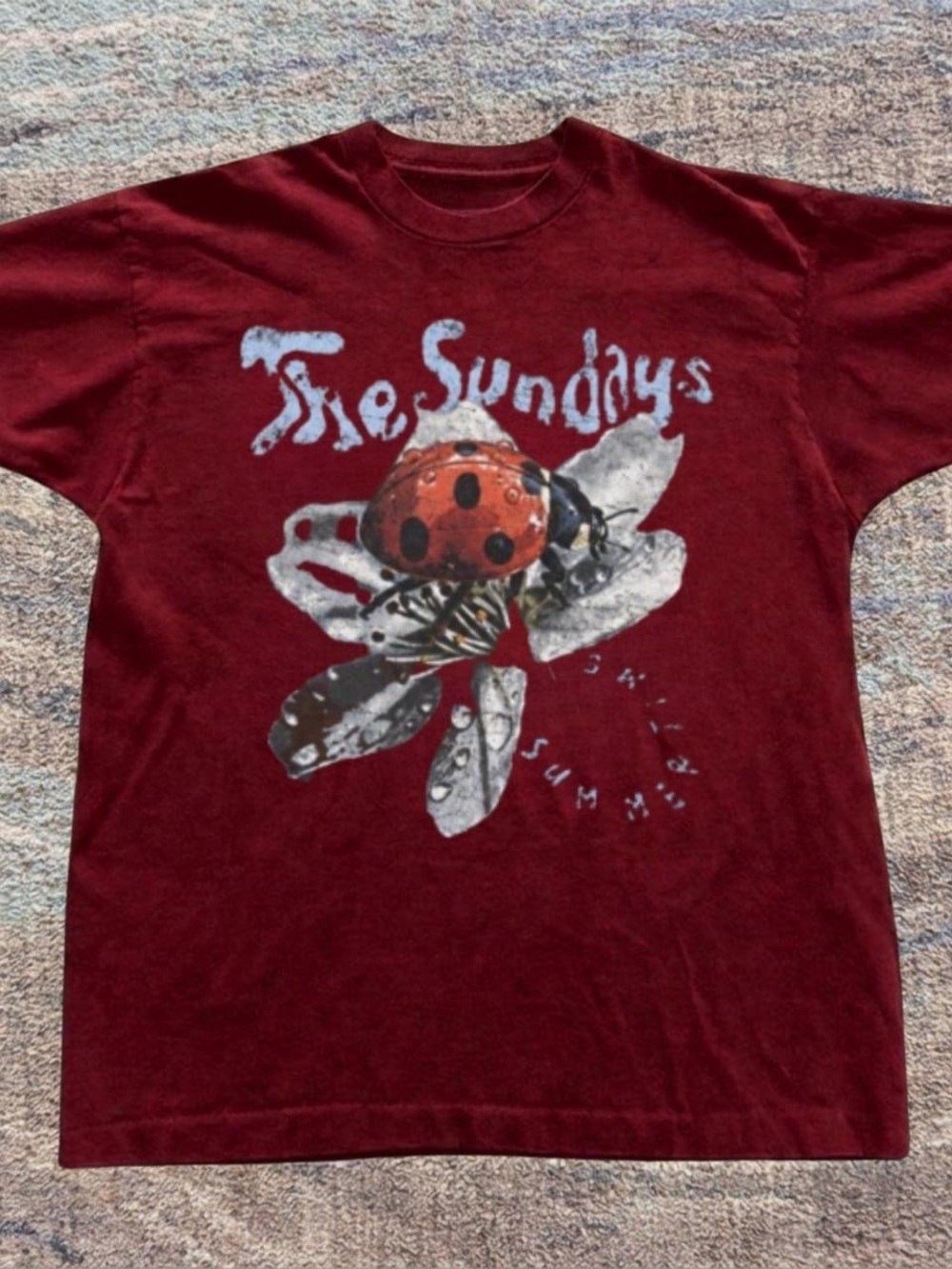 Gildan Burgundy Tee with Ladybug Graphic